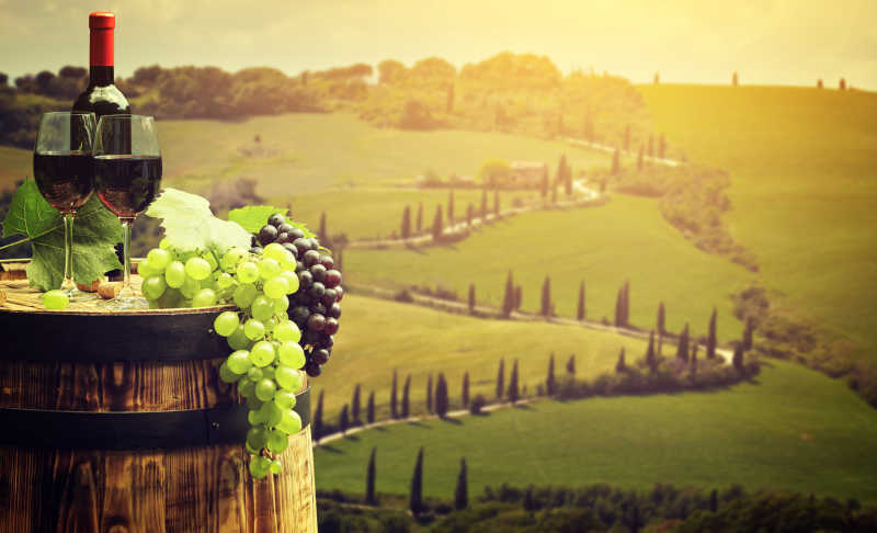 绿色葡萄园背景前的红酒桶和新鲜的葡萄
