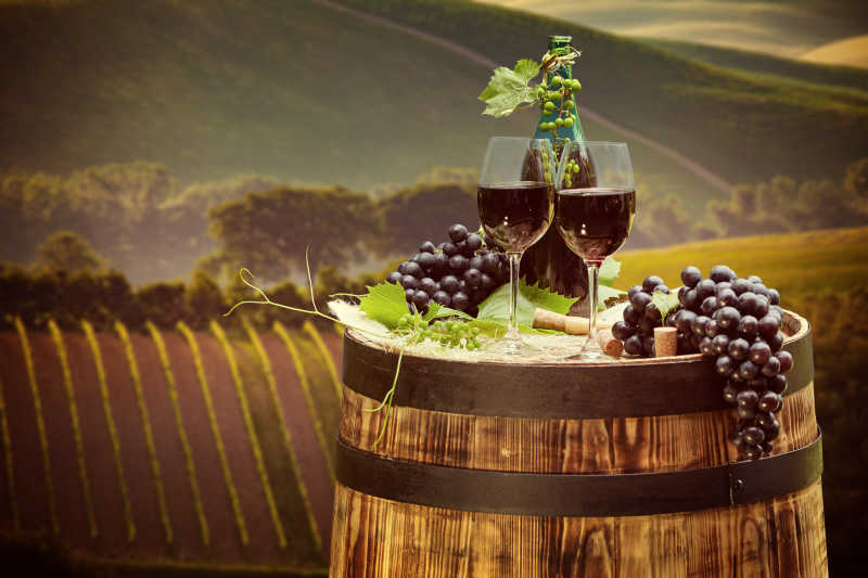 绿色葡萄园背景前的红酒桶和红酒