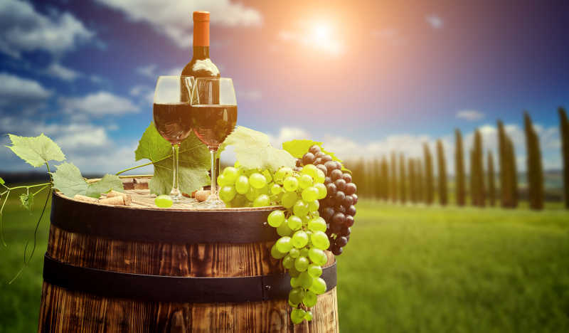 阳光下的葡萄园背景前的葡萄酒桶和红葡萄酒