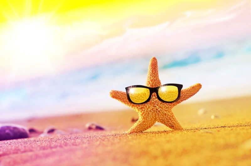 海滩上戴着太阳镜的海星