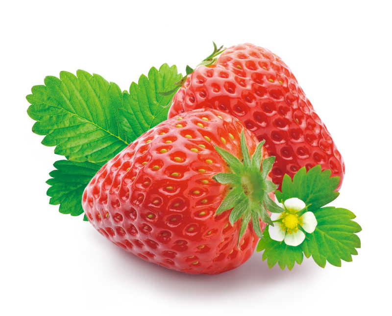 新鲜的放在白色背景上的草莓
