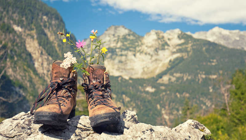 山顶的登山鞋上有着鲜花