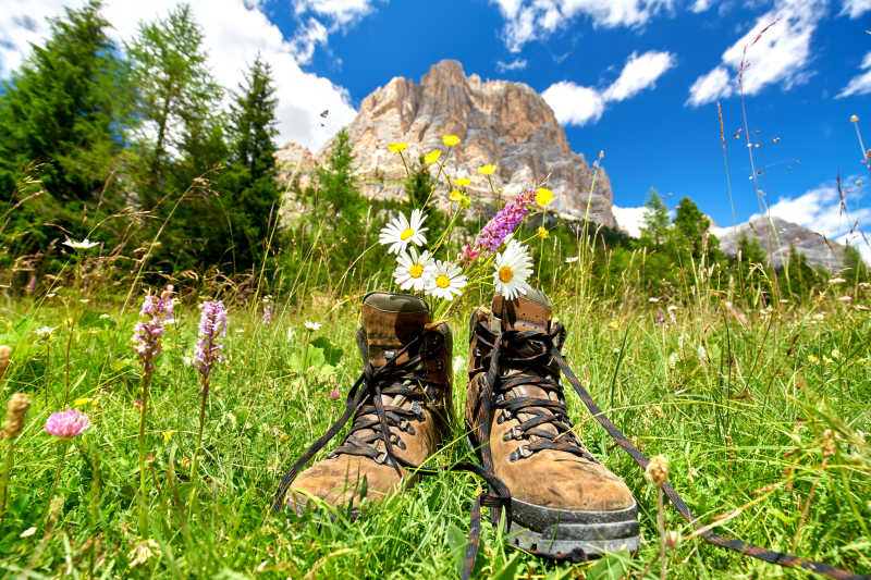 草地上登山鞋里的鲜花