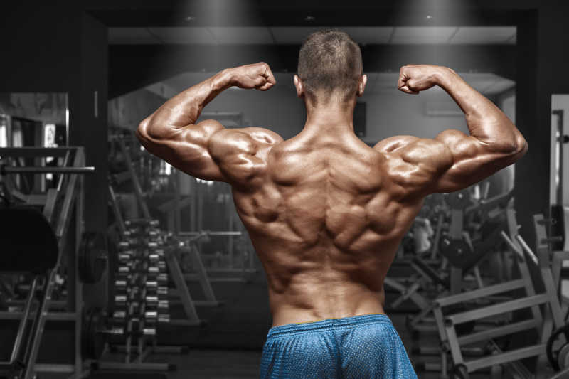 健身房里展示肌肉的男人背影