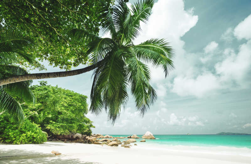 热带塞舌尔海滩美景