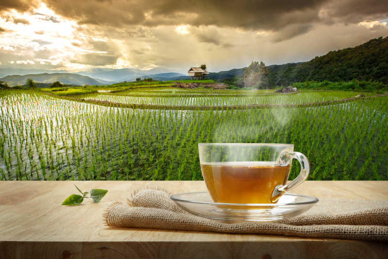 阳光下的水稻田的背景上木桌上的一杯热清茶