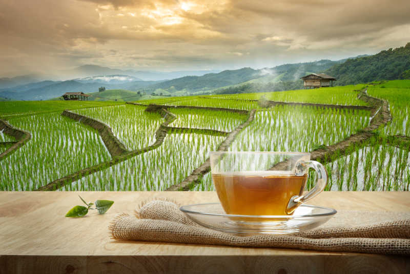 群山里的稻田背景下木桌上的一杯热清茶