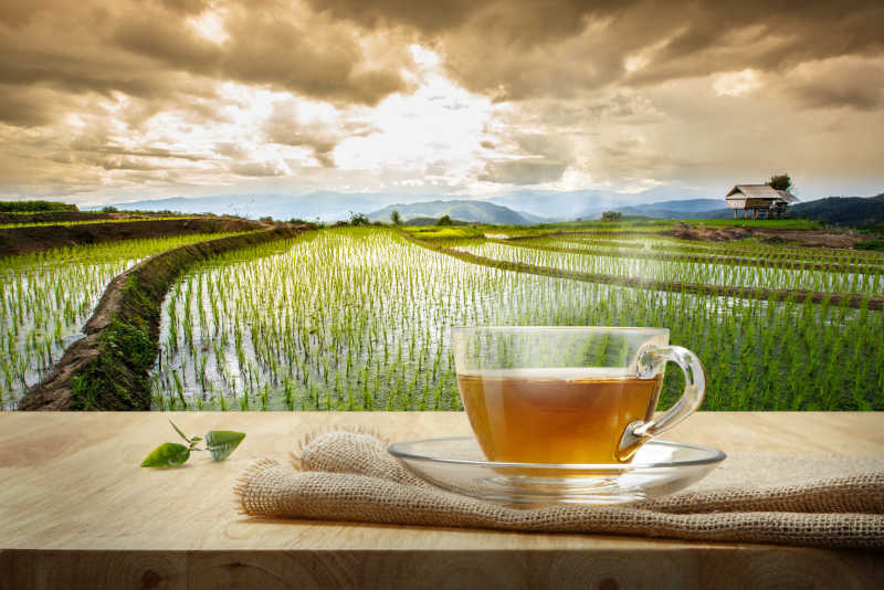 有云的天空下水稻田背景上木桌的一杯清茶