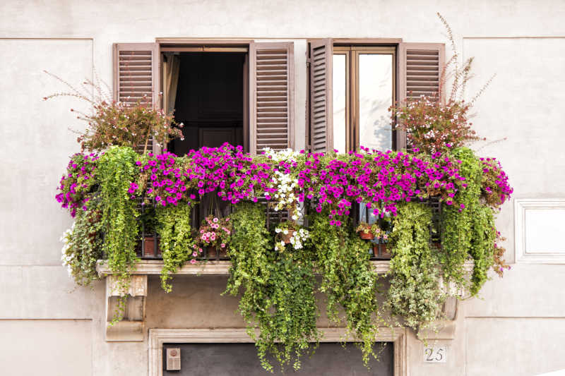 栽满鲜花的漂亮阳台