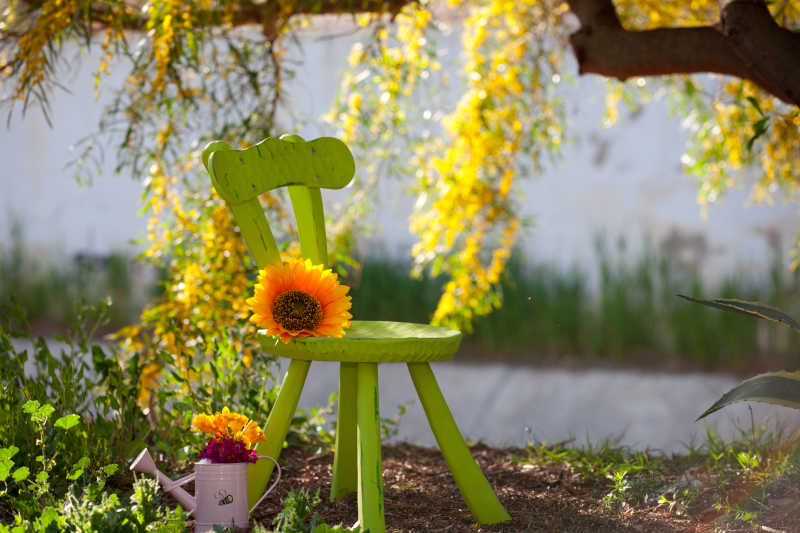 乡村院子里的可爱的绿色小椅子
