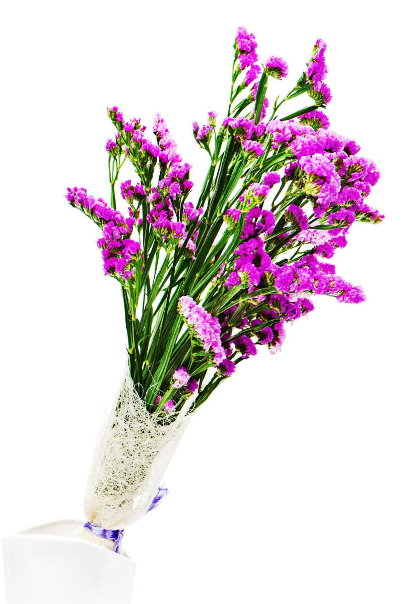 白色背景上的紫色鲜花束