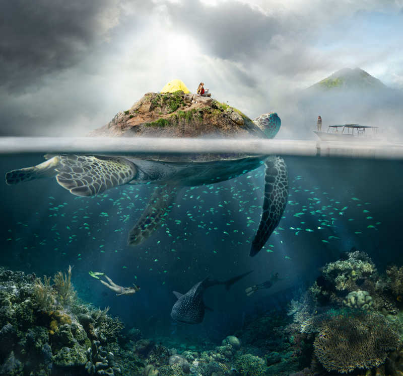 美丽的水下海岛龟和旅行者