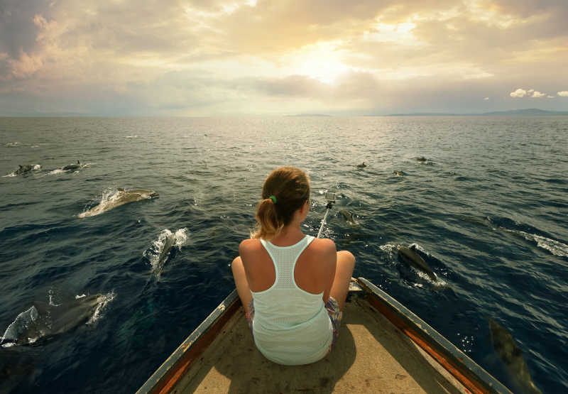 在船尾坐着的美女在拍摄一群海豚