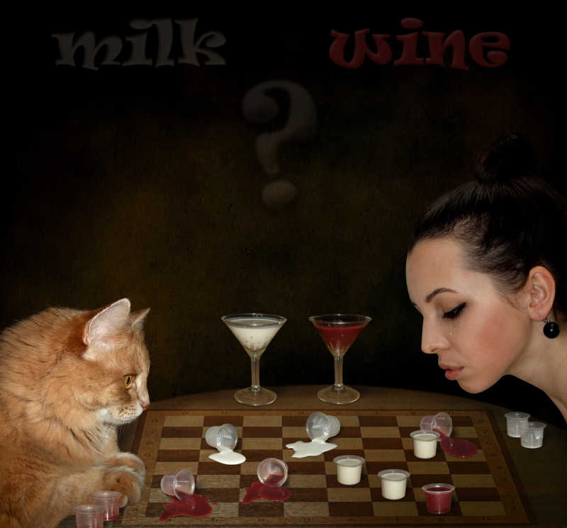 一个女孩正在和她的猫玩跳棋