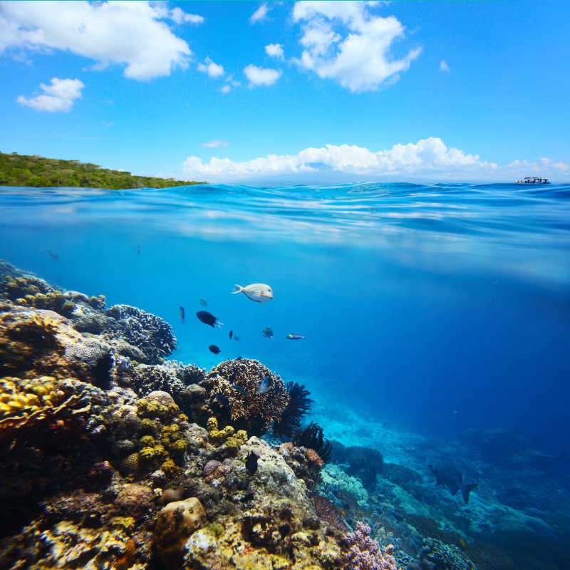 绿岛水下珊瑚礁与美丽的大海