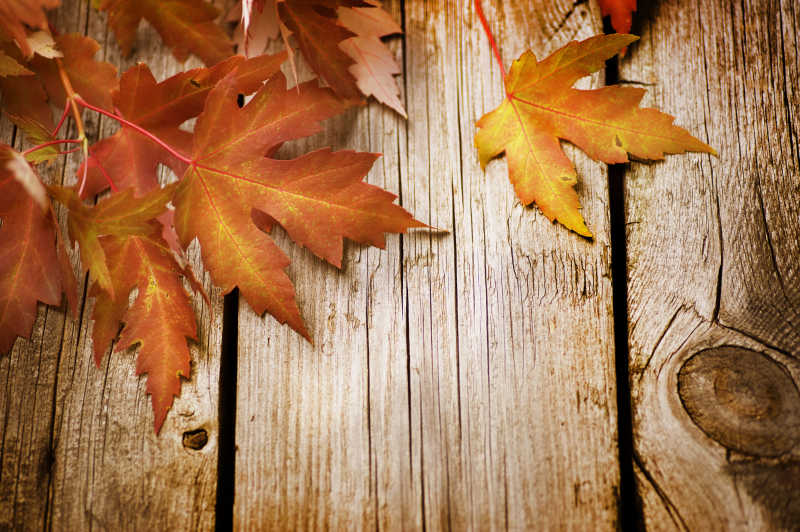 秋天的叶子在木制的背景下