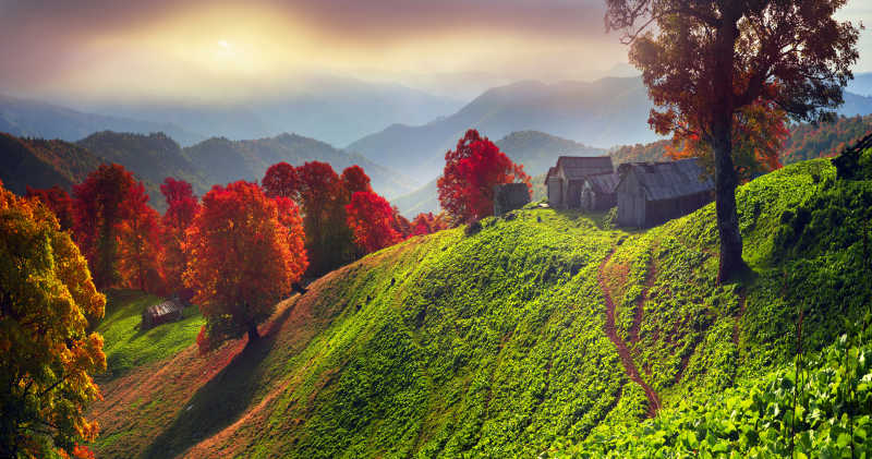 在喀尔巴阡山金色和红色峰顶美丽景色