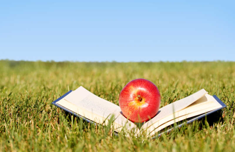 绿草上的书和苹果