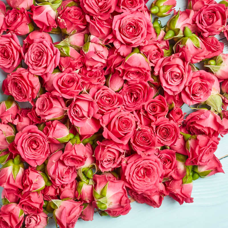 桌子上的一堆玫瑰花