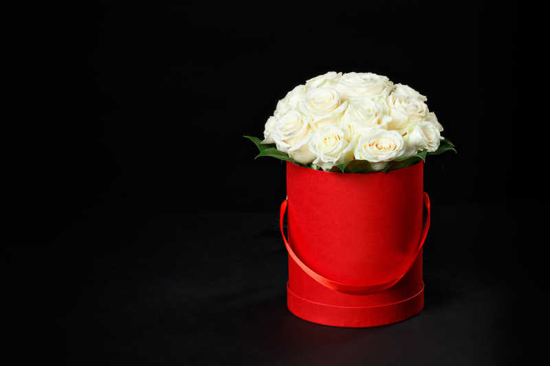 黑色背景前木桶里的白玫瑰