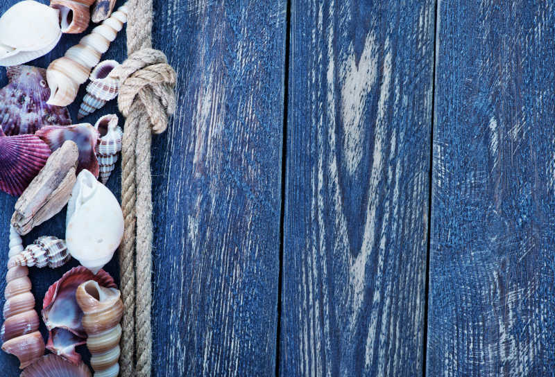 深蓝色木板上的绳子各种各样的海贝壳