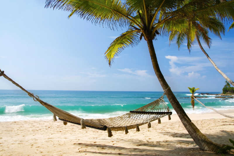 海边热带海滩棕榈掌边的浪漫舒适吊床