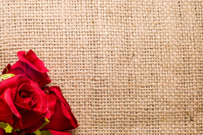 红玫瑰被放在麻布上