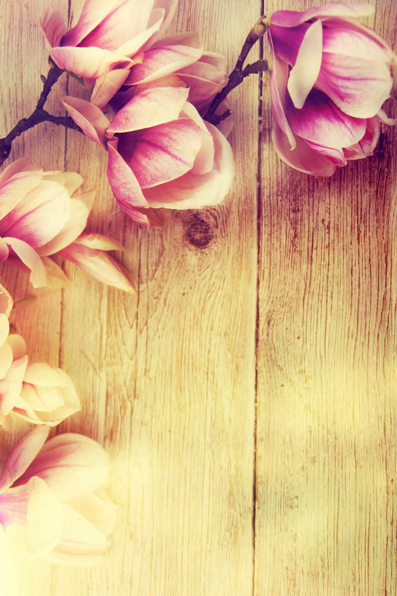 木板上放着粉色的玫瑰花