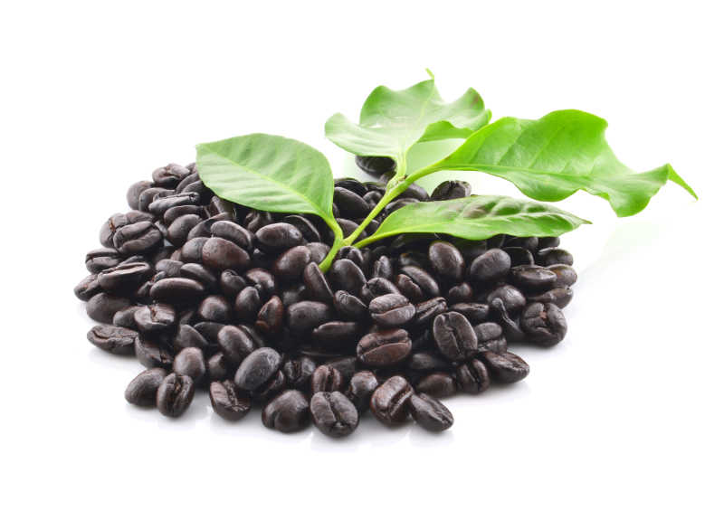 咖啡粒和树叶