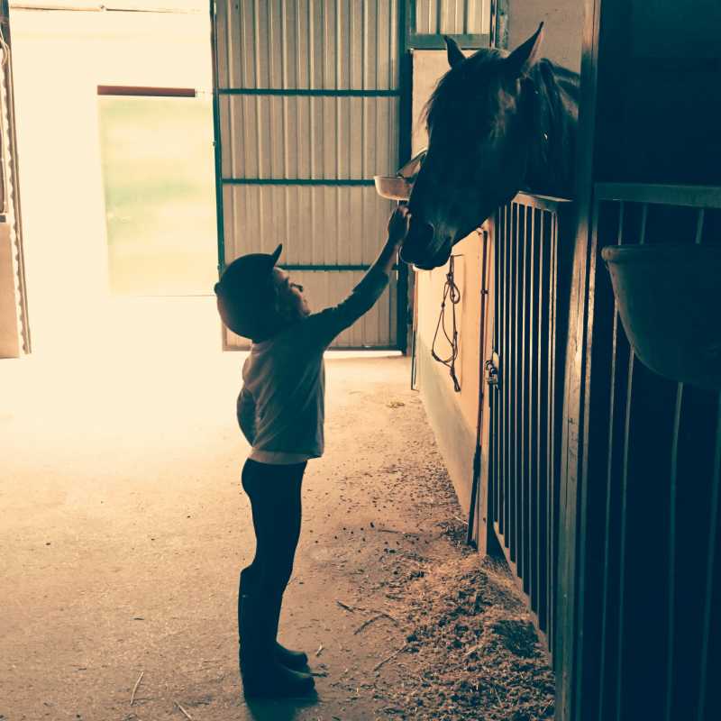 在马厩里抚摸着马头部的小女孩