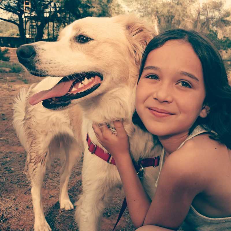 小女孩开心的抱着她的宠物狗