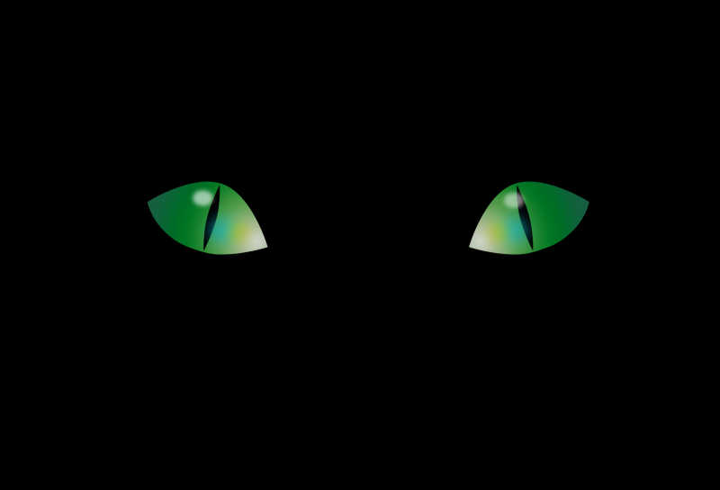 绿色的猫眼睛