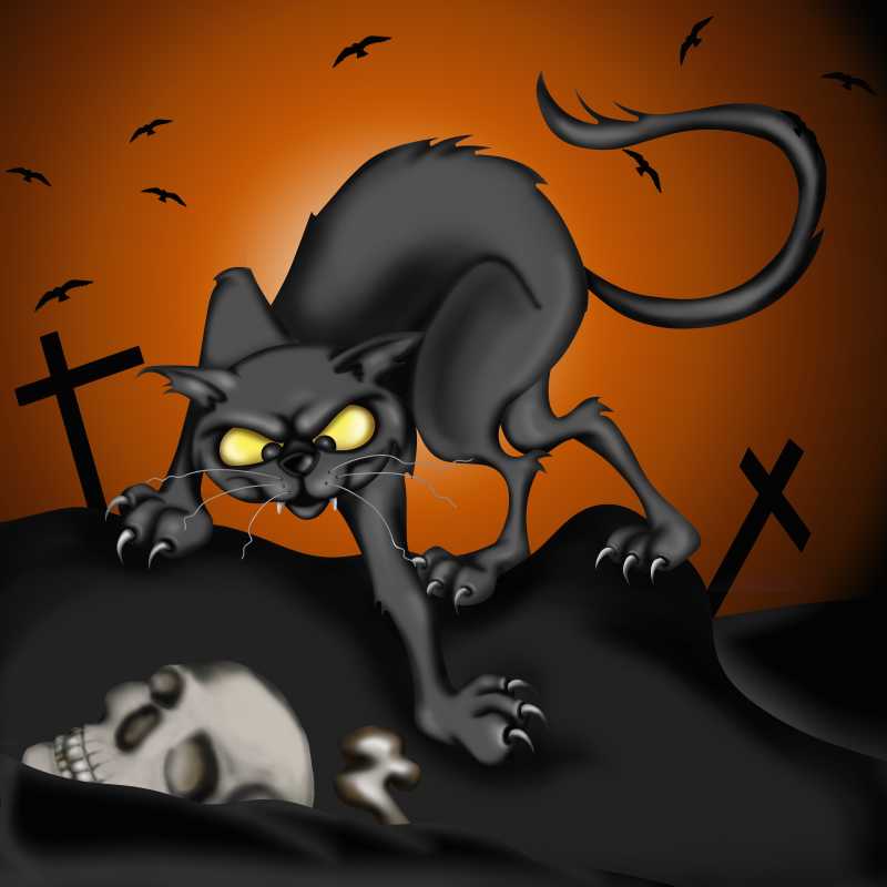 墓地里的黑猫卡通