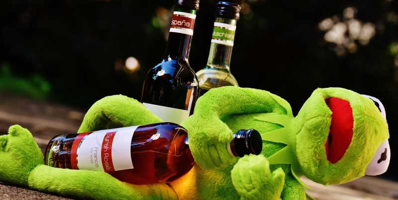 青蛙玩具与葡萄酒