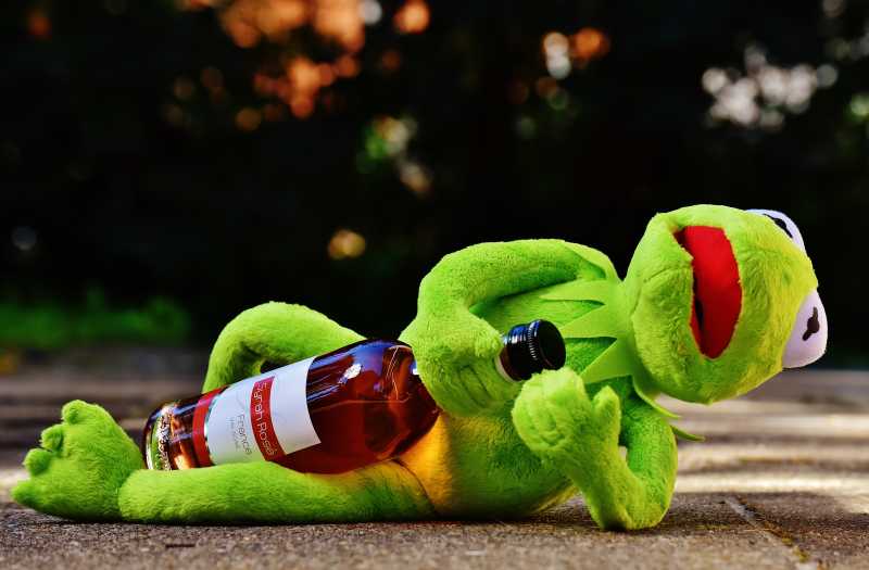 玩具青蛙抓着一瓶酒
