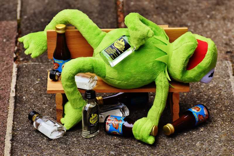 青蛙一副醉酒的样子