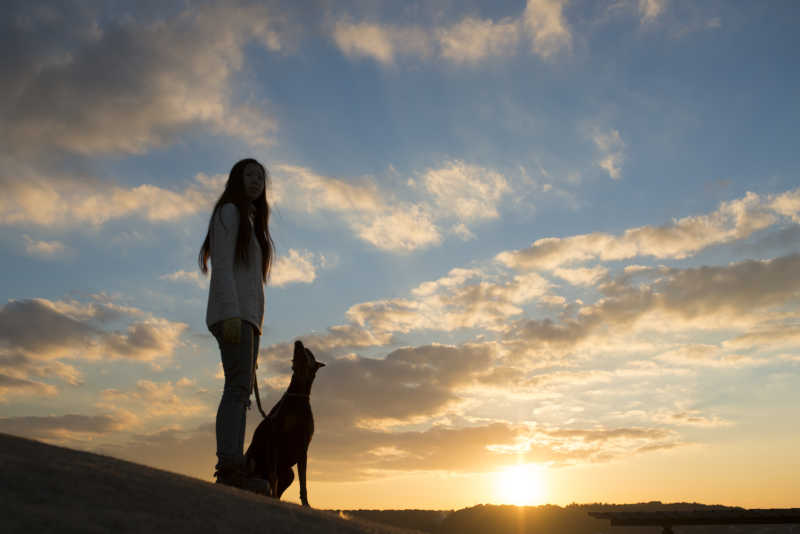 夕阳下温馨的女人和宠物狗