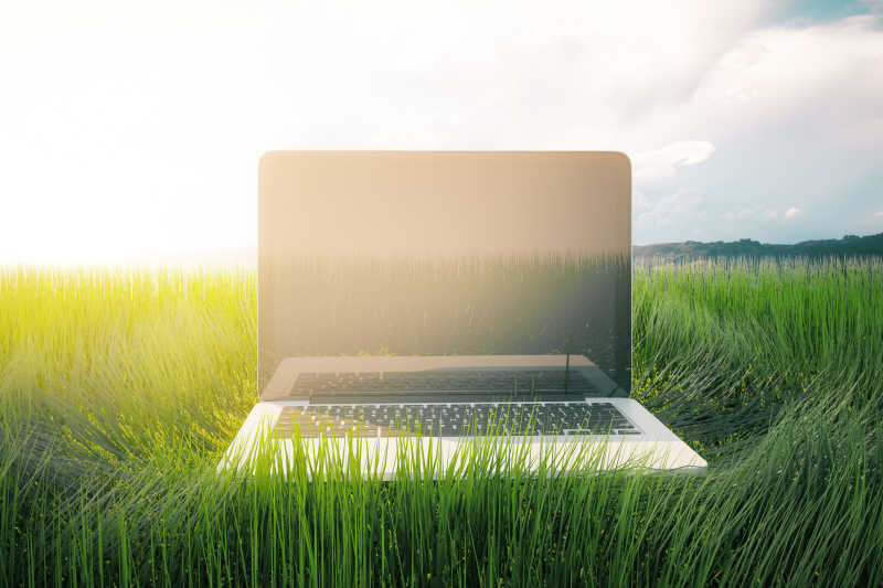 草地上的笔记本电脑