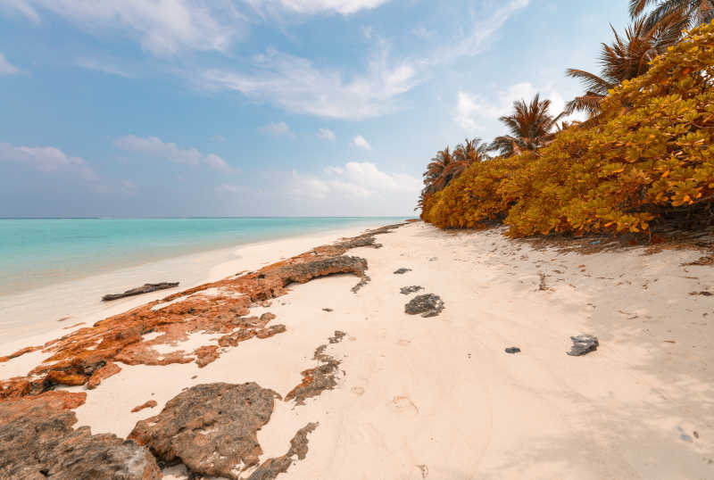 马尔代夫奇妙的海滩风景