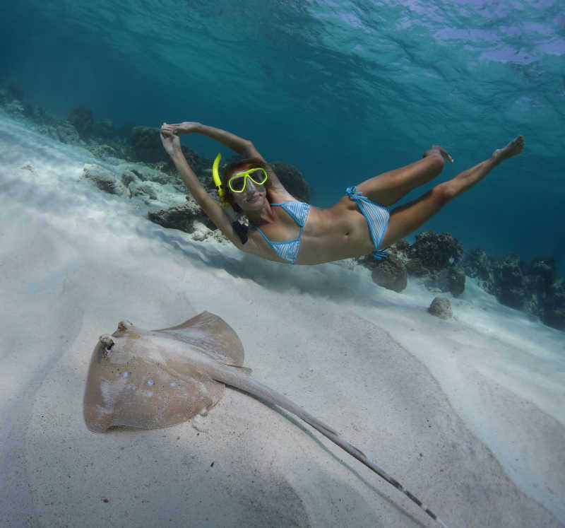 年轻女人在热带海域自由浮潜