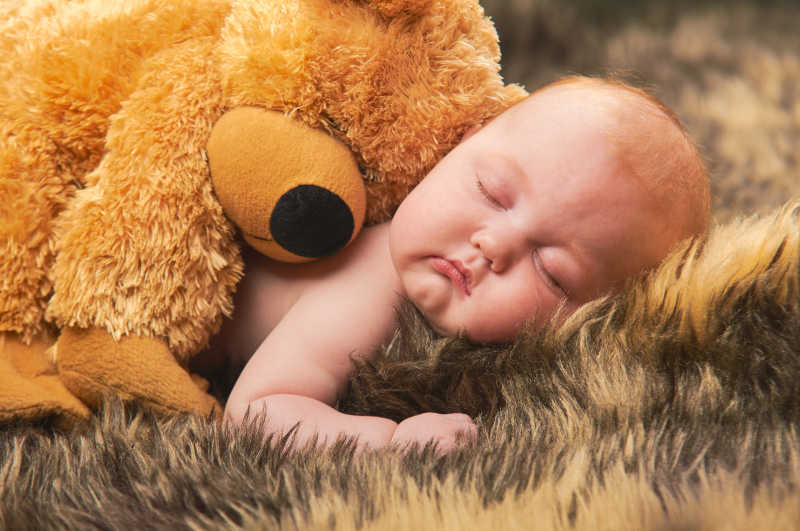 一起睡觉的小熊和宝宝