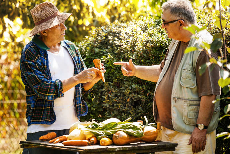 绿色植物背景下讨论蔬菜的两位农民老年人