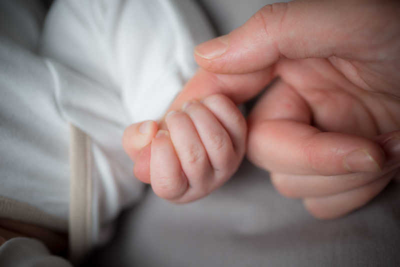 可爱的紧紧相握的婴儿和妈妈的手