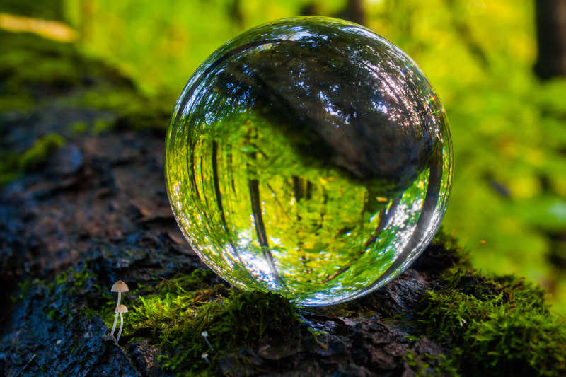森林中绿色苔藓边的水晶球