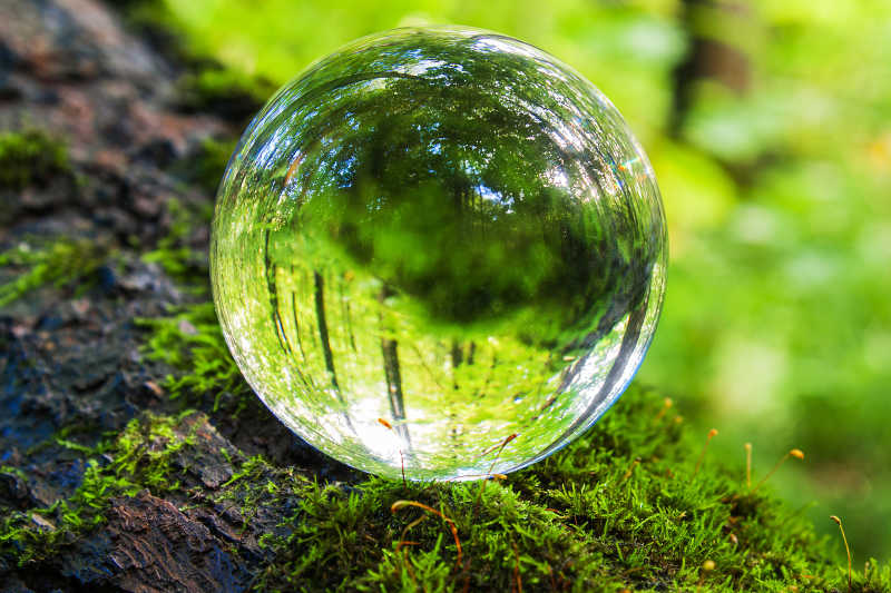 水晶球反射的森林景象