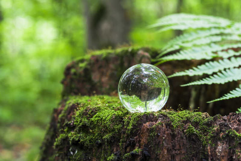 森林中石头上的水晶球