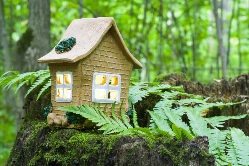 森林中木桩上搭建的小房子
