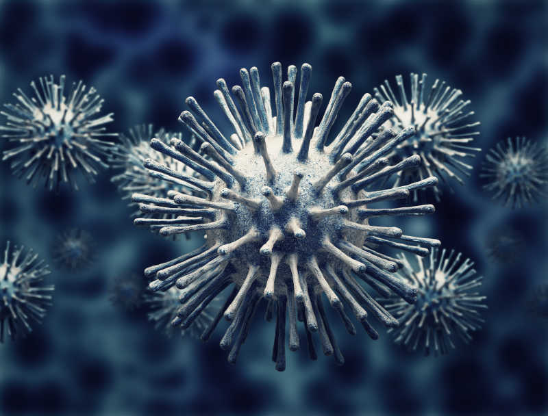 3D绘制的病毒细胞