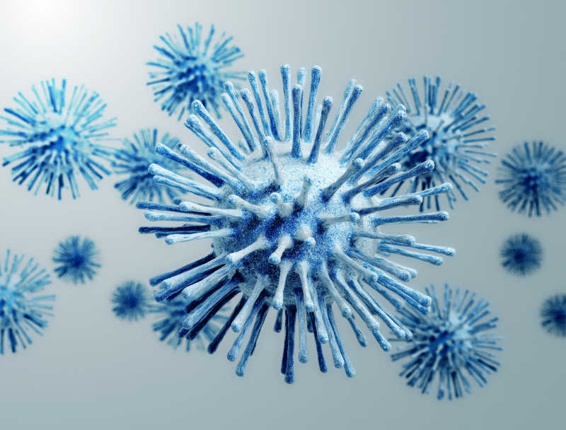 流感病毒细胞