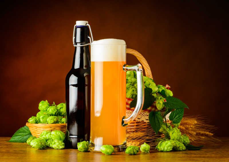 褐色背景下的一瓶小麦啤酒和一杯玻璃杯装着的啤酒花